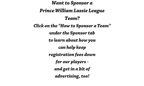 Sponsor a Team!  Click here for more information!